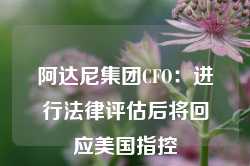 阿达尼集团CFO：进行法律评估后将回应美国指控