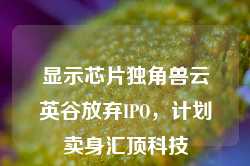 显示芯片独角兽云英谷放弃IPO，计划卖身汇顶科技