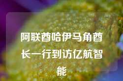 阿联酋哈伊马角酋长一行到访亿航智能