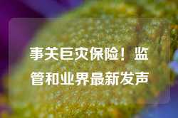 事关巨灾保险！监管和业界最新发声