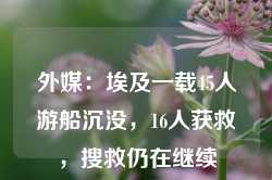 外媒：埃及一载45人游船沉没，16人获救，搜救仍在继续