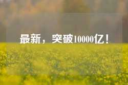 最新，突破10000亿！