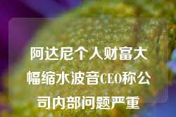 阿达尼个人财富大幅缩水波音CEO称公司内部问题严重