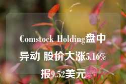 Comstock Holding盘中异动 股价大涨5.16%报9.52美元