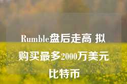 Rumble盘后走高 拟购买最多2000万美元比特币