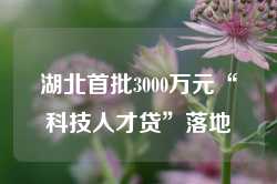 湖北首批3000万元“科技人才贷”落地