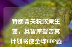 特朗普关税政策生变，英智库警告其计划将使全球GDP萎缩2%