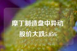 摩丁制造盘中异动 股价大跌5.05%