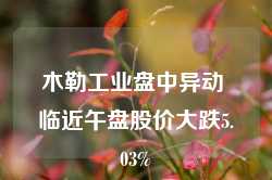 木勒工业盘中异动 临近午盘股价大跌5.03%