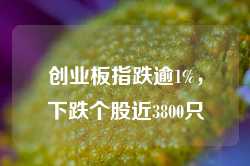 创业板指跌逾1%，下跌个股近3800只