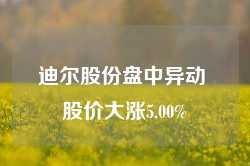 迪尔股份盘中异动 股价大涨5.00%