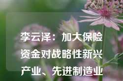 李云泽：加大保险资金对战略性新兴产业、先进制造业等重点领域投资力度