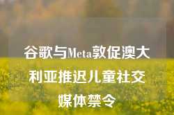 谷歌与Meta敦促澳大利亚推迟儿童社交媒体禁令