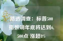 路透调查：标普500指数明年底将达到6,500点 涨超8%