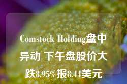 Comstock Holding盘中异动 下午盘股价大跌8.95%报8.44美元