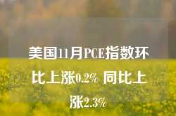 美国11月PCE指数环比上涨0.2% 同比上涨2.3%