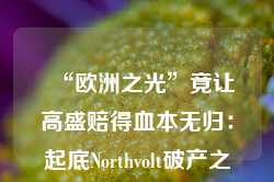 “欧洲之光”竟让高盛赔得血本无归：起底Northvolt破产之谜