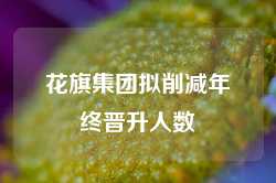 花旗集团拟削减年终晋升人数