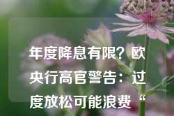 年度降息有限？欧央行高官警告：过度放松可能浪费“宝贵政策空间”