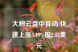 大树云盘中异动 快速上涨5.19%报2.43美元