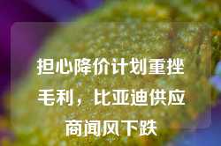 担心降价计划重挫毛利，比亚迪供应商闻风下跌