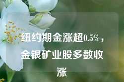 纽约期金涨超0.5%，金银矿业股多数收涨