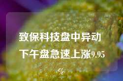 致保科技盘中异动 下午盘急速上涨9.95%