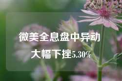 微美全息盘中异动 大幅下挫5.30%