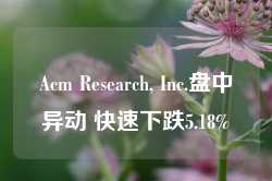 Acm Research, Inc.盘中异动 快速下跌5.18%