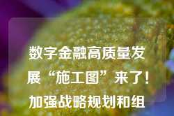 数字金融高质量发展“施工图”来了！加强战略规划和组织管理 强化数字金融风险防范