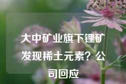 大中矿业旗下锂矿发现稀土元素？公司回应