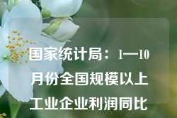 国家统计局：1—10月份全国规模以上工业企业利润同比下降4.3%（解读）