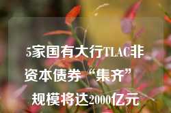 5家国有大行TLAC非资本债券“集齐”  规模将达2000亿元