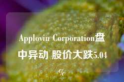 Applovin Corporation盘中异动 股价大跌5.04%