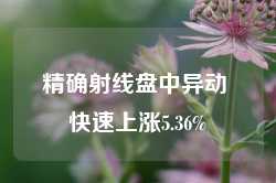 精确射线盘中异动 快速上涨5.36%