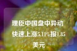 理臣中国盘中异动 快速上涨5.11%报1.85美元