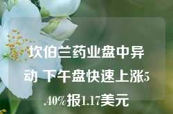 坎伯兰药业盘中异动 下午盘快速上涨5.40%报1.17美元