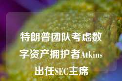 特朗普团队考虑数字资产拥护者Atkins出任SEC主席