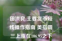 田洪良:主要货币短线操作指南 美指周三上涨在106.95之下遇阻