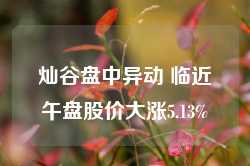 灿谷盘中异动 临近午盘股价大涨5.13%