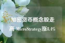 加密货币概念股走高 MicroStrategy涨8.4%