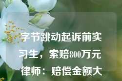 字节跳动起诉前实习生，索赔800万元 律师：赔偿金额大概率将根据侵权情节酌定