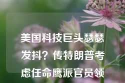 美国科技巨头瑟瑟发抖？传特朗普考虑任命鹰派官员领导反垄断部门