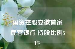 国资控股安徽首家民营银行 持股比例51%